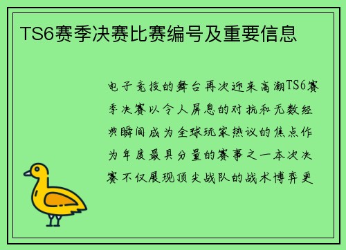 TS6赛季决赛比赛编号及重要信息