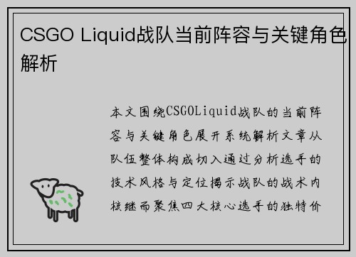 CSGO Liquid战队当前阵容与关键角色解析